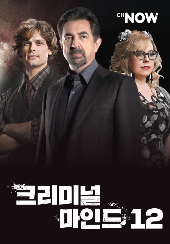 Program Image
